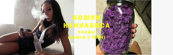 ешки Вяземский