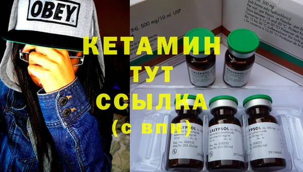шишки Вязники