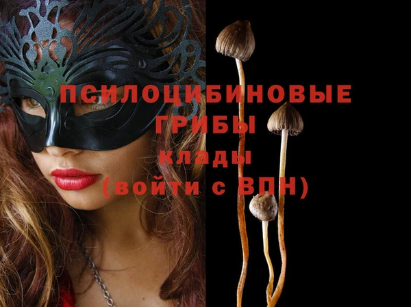 ешки Вяземский